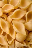 Raw Italian pasta conchiglie from durum wheat with vegetables, salt and spices photo