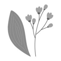Set of 2 design elements of flowering twig and spathiphyllum leaf in grayscale. Sticker. Icon. Logo vector