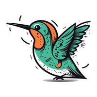 Hummingbird. Hand drawn vector illustration isolated on white background.