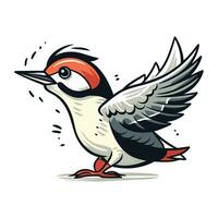 Dendrocopos major. great spotted woodpecker. vector illustration