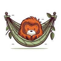 Cute cartoon lion in hammock. Vector illustration isolated on white background.