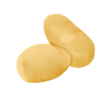 Kartoffeln Illustration auf transparent Hintergrund png