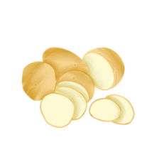 Scheiben von Kartoffeln auf transparent Hintergrund png