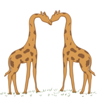 girafe couple illustration png