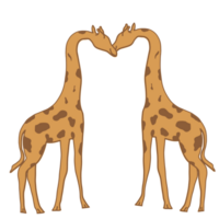 Giraffe couple illustration png