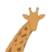 Giraffe nehmen Foto Pose png