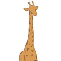 giraffe illustration on transparant background png