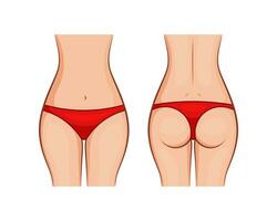 Womens panties Front and back views isolated on white background. vector