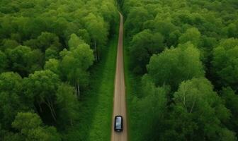 Serene drive through lush forest on winding road Creating using generative AI tools photo