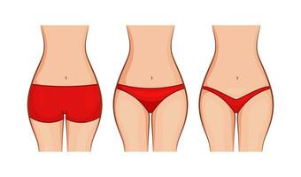 Types of woman panties front view vector isolated on white background.