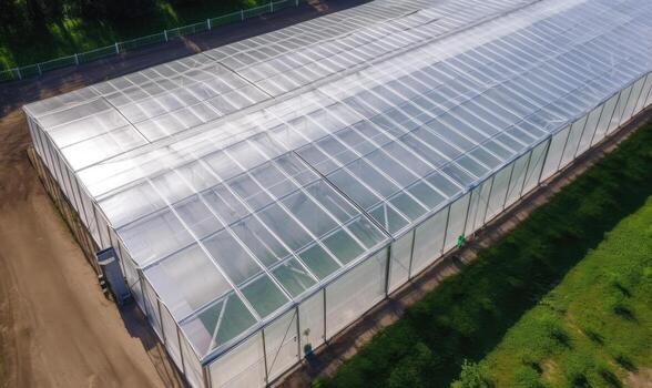 Step into a world of botanical beauty within a transparent-roofed greenhouse. Creating using generative AI tools photo