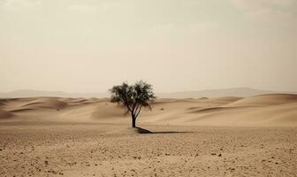 A single tree in the vast desert expanse. photo