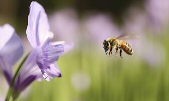 The bee whizzes past a colorful array of flowers, leaving only a blur in its wake. Creating using generative AI tools photo