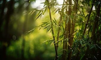 Serene forest landscape with fresh bamboo trees in the foreground. Creating using generative AI tools photo