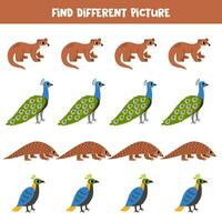 Find different Asian animal in each row. Logical game for preschool kids. vector