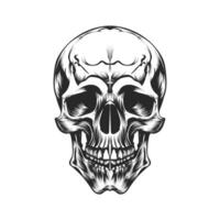 skull on black vector design