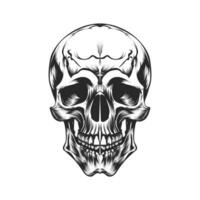 skull on black vector design