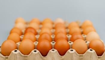 huevos Fresco huevo paquetes alto proteína comida limpiar huevos naranja huevos sano desayuno el fotos y arreglo son hermosa y organizado.