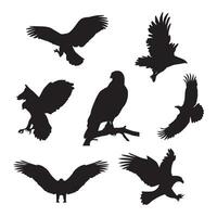 Collection of eagle silhouettes in various poses vector