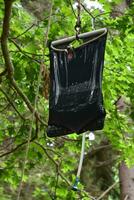 Solar Powered Camp Shower in a Tree photo