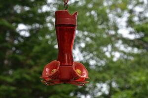 bonito rojo colibrí alimentador lleno con colibrí comida foto