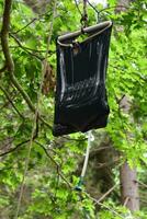 Sun Warmed Shower Bag Hanging in a Tree photo