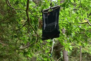 Rustic Camp Shower in a Tree for Bathing photo