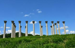 Gaining Perspective of Concrete Pillars on Spring Day photo