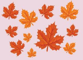 Leaf Vector Art Illustration