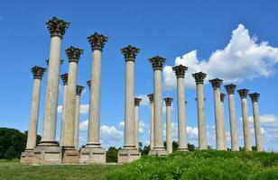 Looking Up at the Old Capitol Pillars photo