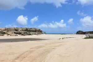 White Sand on Andicuri Beach in Aruba photo