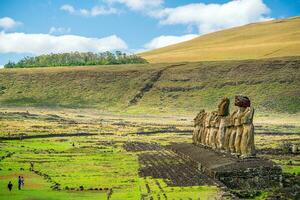 The ancient moai on Easter Island of Chile photo