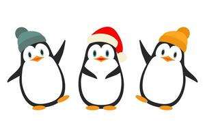 Vector illustration. Collection of cute little penguins in hats, isolated on white. Winter animal clipart in flat style.