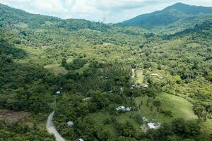 Highway through the jungle of the philippines photo