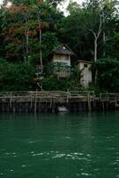 bonito de madera casa en el selva foto