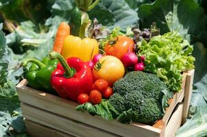 caja de madera llena de verduras orgánicas frescas foto