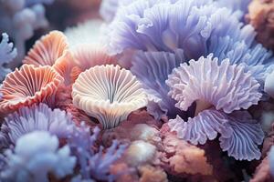 extremo de cerca de seta corales en amable púrpura colores. resumen antecedentes de macro mar vida. ai generado foto