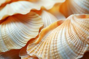 Abstract background with macro texture of shells. AI Generation photo