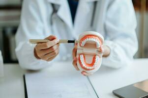 Concentrated dentist sitting at table with jaw samples tooth model and working with tablet and laptop in dental office professional dental clinic. medical doctor working photo