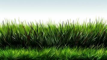 Green grass background, AI Generated photo