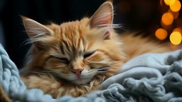 Hibernating cat picture, cute pet animal background image, AI Generated photo