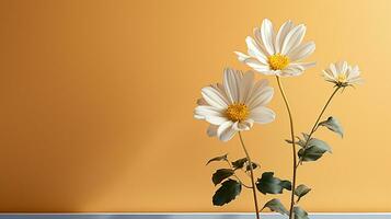 Daisy flowers on minimalist light background, AI Generated photo