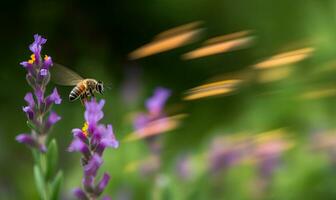 The bee darts through motion-blurred flowers with lightning speed and precision. Creating using generative AI tools photo