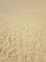 Empty golden sands in summer photo