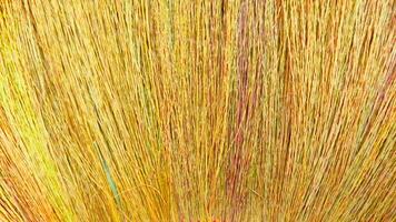 coconut fiber texture of broom background photo