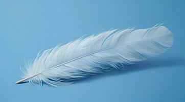 white feather on blue background of ai generated photo