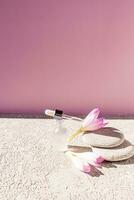 A white matte bottle with a pipette with a natural cosmetic product on gray oval stones and crocus flowers. A blank layout . Vertical top view. photo