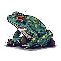 Frog. Hand drawn vector illustration. Isolated on white background.