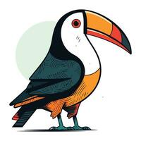 Toucan vector illustration. Hand drawn toucan isolated on white background.