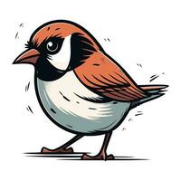 Sparrow. Vector illustration of a bird. Hand drawn bird.